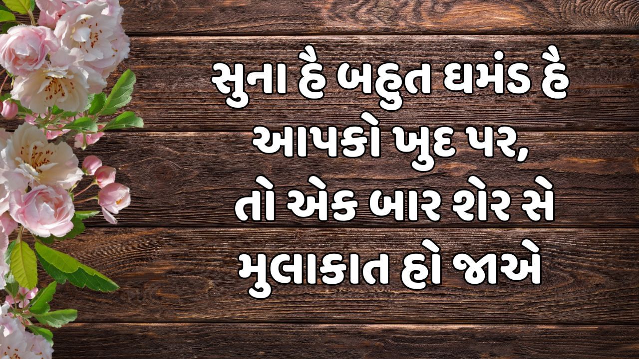 Attitude Shayari In Hindi Gujarati (3)