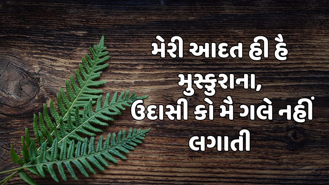 Attitude Shayari In Hindi Gujarati (4)