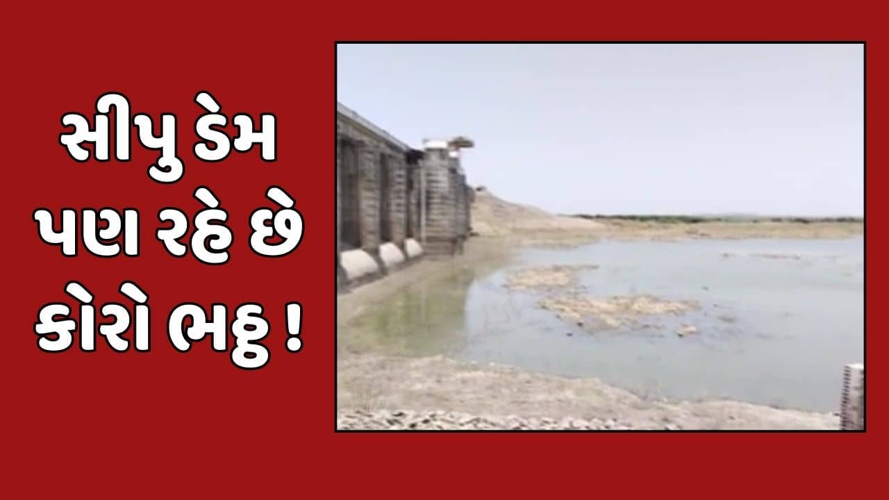 Banaskantha Video : સીપુ ડેમમાં ભૂગર્ભ જળ ઉંડા ગયા, સિંચાઈ માટે પાણી ન મળતા ખેડૂતોને હાલાકી
