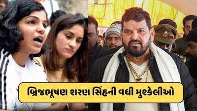 યૌન શોષણ કેસમાં બ્રિજભૂષણની વધી મુશ્કેલી, કોર્ટ આ મામલે 18 એપ્રિલે આપશે ચુકાદો