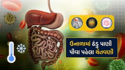 ગરમીમાં ઠંડુ પાણી પીવું એ અલગ બાબત છે. તેનાથી શરીરને કાળઝાળ ગરમીથી રાહત મળે છે. પરંતુ શું તમે જાણો છો કે ઠંડુ પાણી પીવાથી સ્વાસ્થ્યને અનેક નુકસાન થાય છે. વધુ પડતું ઠંડુ પાણી પીવાથી શરીરમાં અસંતુલન સર્જાય છે જેના કારણે પાચન પ્રક્રિયા પણ ધીમી પડી જાય છે.