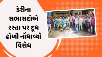 Valsad: પારડીના પરવાસા ગામે રસ્તા પર દૂધ ઢોળી સભાસદોનો વિરોધ, ડેરી સામે લગાવ્યા આરોપ, જુઓ Video