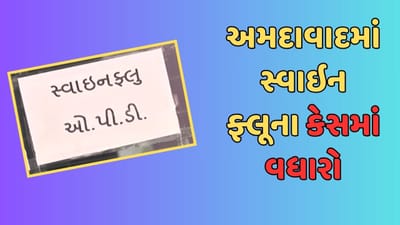 Ahmedabad: એક સપ્તાહમાં સ્વાઈન ફ્લૂના 60 કેસ નોંધાયા, પાણીજન્ય રોગચાળો પણ વકર્યો, જુઓ Video