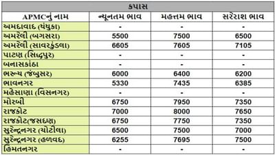 કપાસના તા.05-04-2024ના રોજ APMCના ભાવ રૂ.5330 થી 8000 રહ્યા.