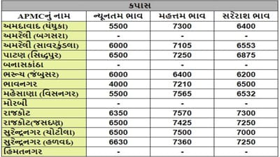 કપાસના તા.19-04-2024ના રોજ APMCના ભાવ રૂ.4000 થી 7570 રહ્યા.