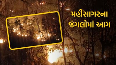 મહીસાગર: કડાણા તાલુકાના રાકાકોટ, જોગણ અને ઢીંગલવાડા વિસ્તારના જંગલોમાં આગ, લાઈવ વીડિયો આવ્યા સમે
