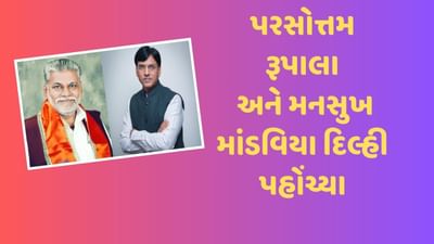Loksabha Election : પરશોત્તમ રૂપાલા અને મનસુખ માંડવિયા પહોંચ્યા દિલ્હી, કેબિનેટની બેઠકમાં આપશે હાજરી, જુઓ Video