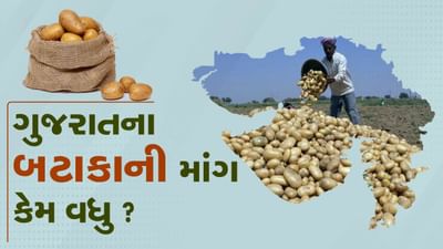 બટાકાના ભાવ ઓલ ટાઈમ હાઈ, જાણો યુપી-બિહારથી મોંઘા ગુજરાતના બટાકાની માંગ કેમ વધુ ?