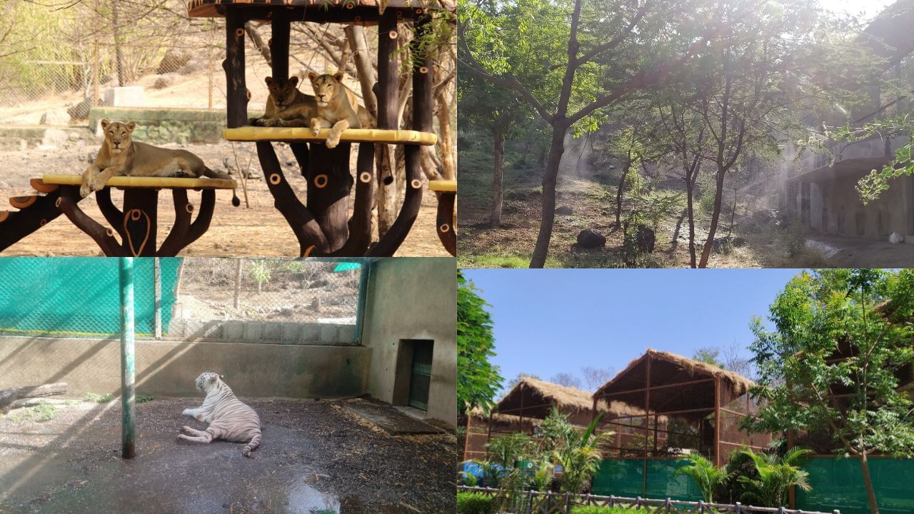 Pradhyuman Zoological Park (5)