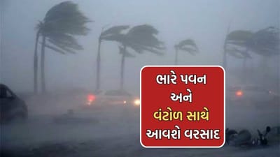 કમોસમી વરસાદને લઈને હવામાન વિભાગની મોટી આગાહી, આ જિલ્લાઓમાં ભારે પવન અને વંટોળ સાથે ખાબકશે વરસાદ- Video