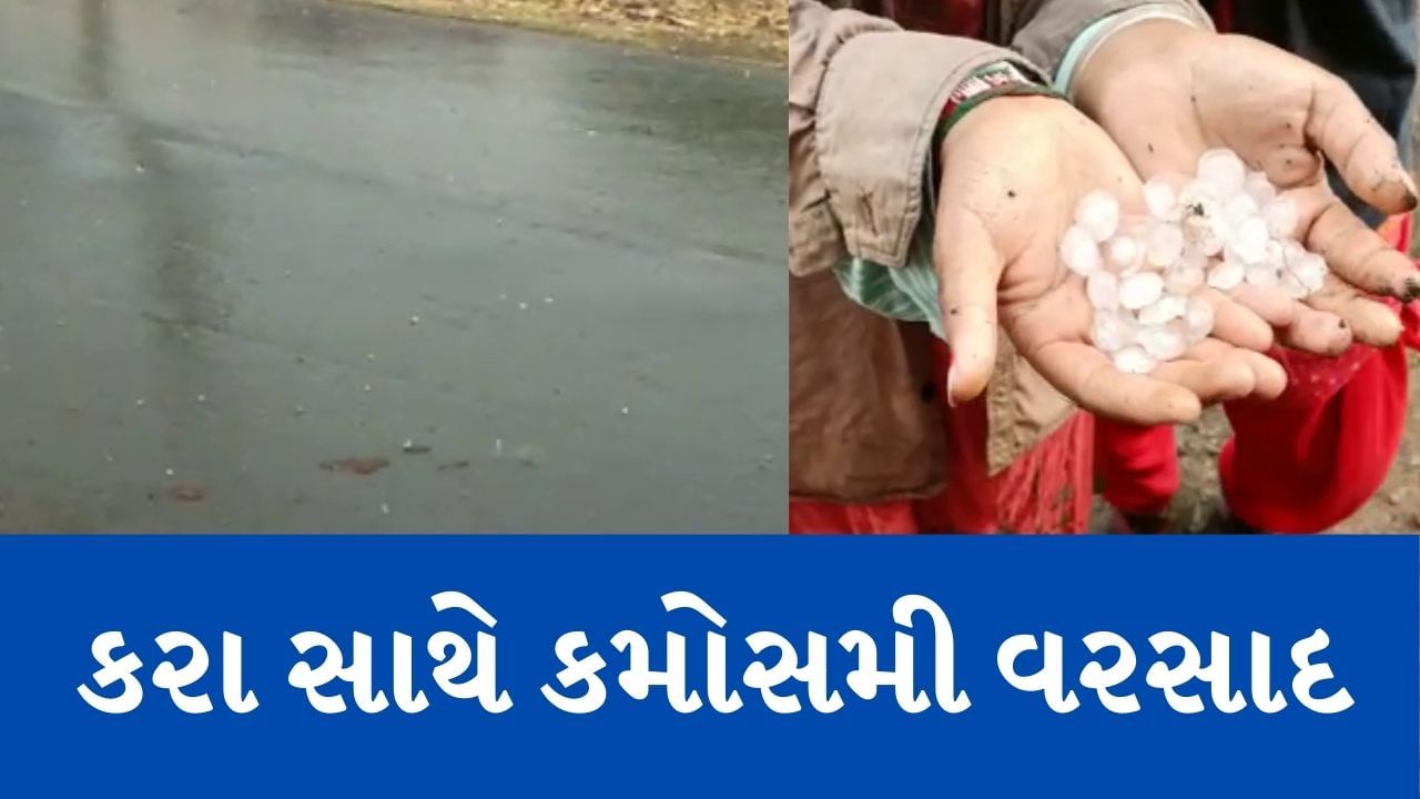 Unseasonal Rain : ભર ઉનાળે અરવલ્લીમાં પડ્યા કરા, ઠંડર સ્ટ્રોમની અસર ...