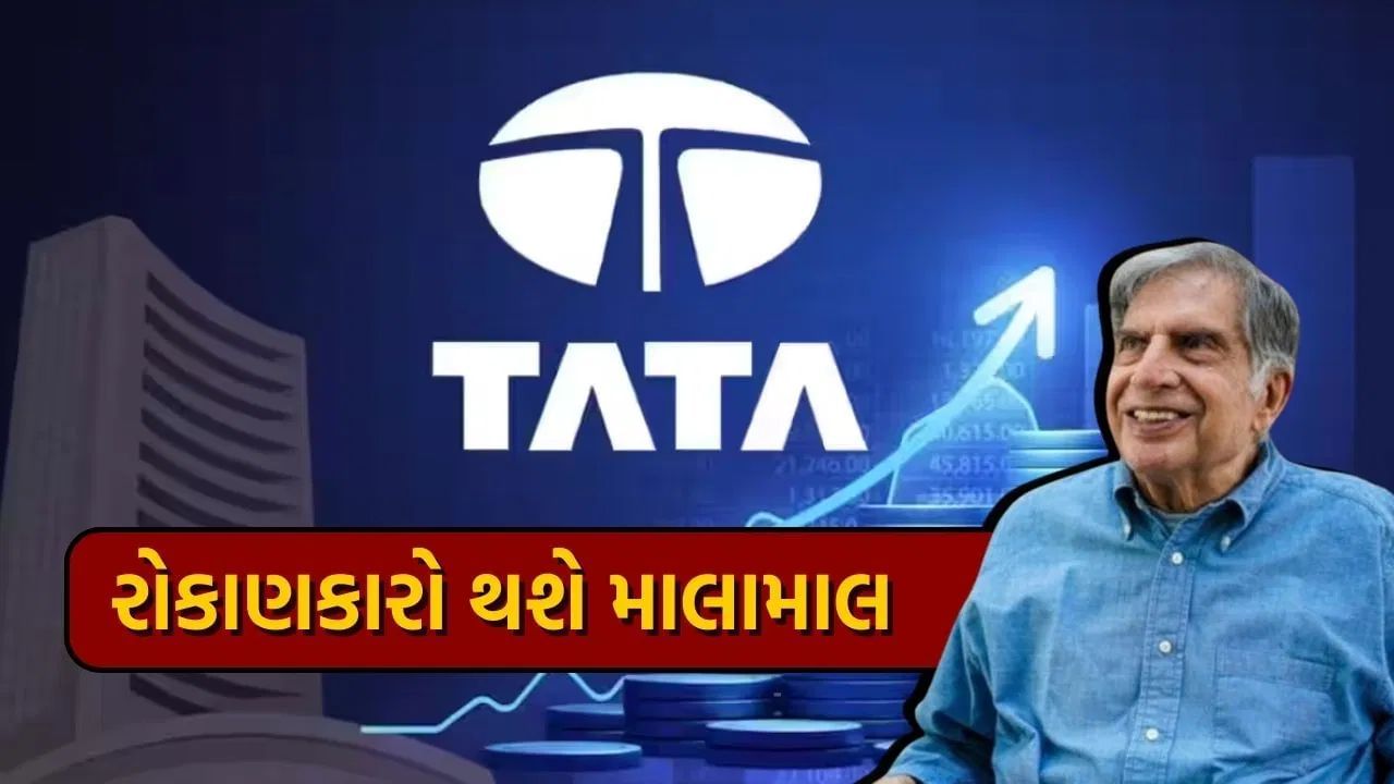 Tata Group IPO (5)