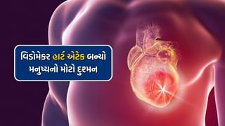 Widowmaker Heart Attack: હૃદયની સૌથી મોટી ધમનીમાં લોહી પહોંચતુ બંધ થઈ જાય ત્યારે દેખાય છે આ 7 લક્ષણ, બને છે હાર્ટ એટેકનું કારણ