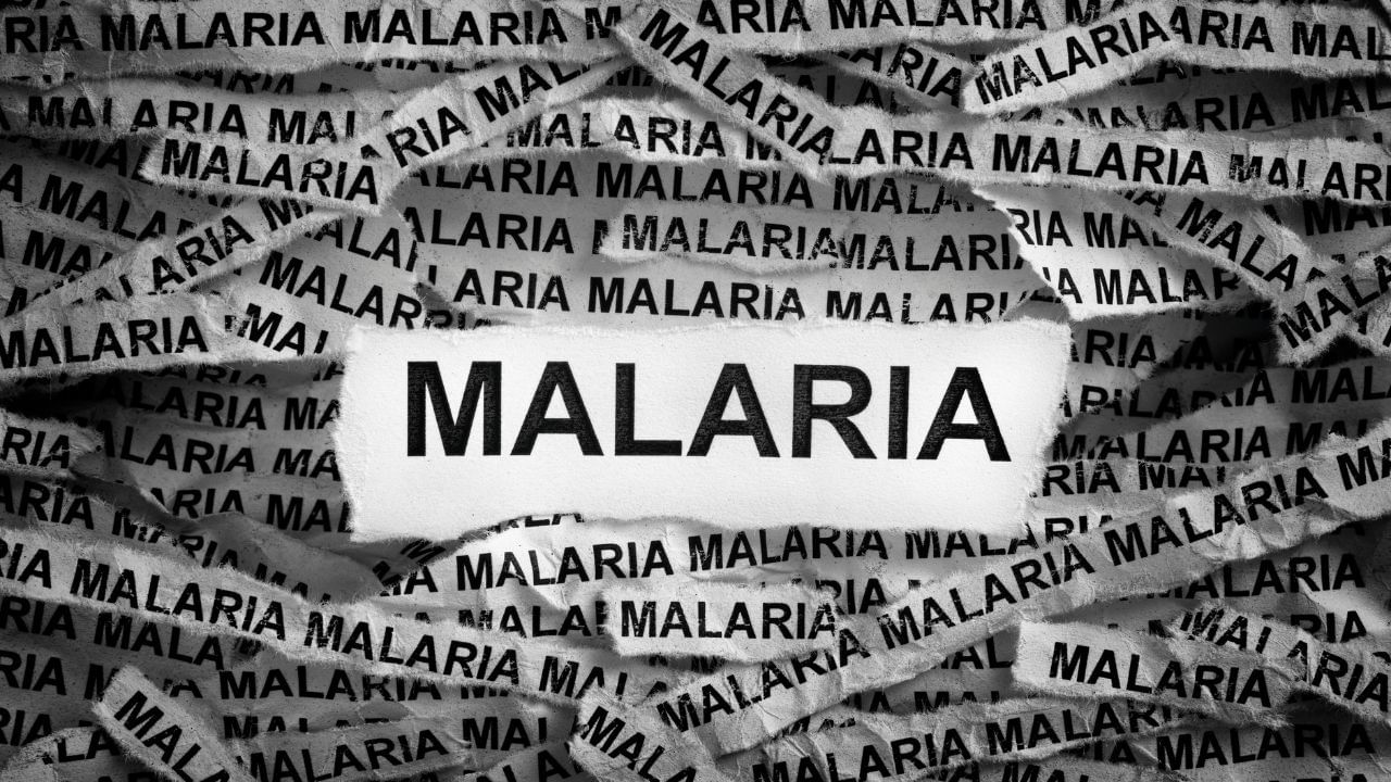 World Malaria Day 2024 (6)