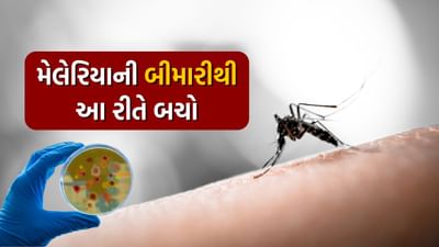 25 એપ્રિલના રોજ વિશ્વ મેલેરિયા દિવસ 2024 ઉજવવા પાછળનો ઉદ્દેશ લોકોને મચ્છરના કરડવાથી થતો રોગ મેલેરિયા વિશે જાગૃત કરવામાં આવે છે. 