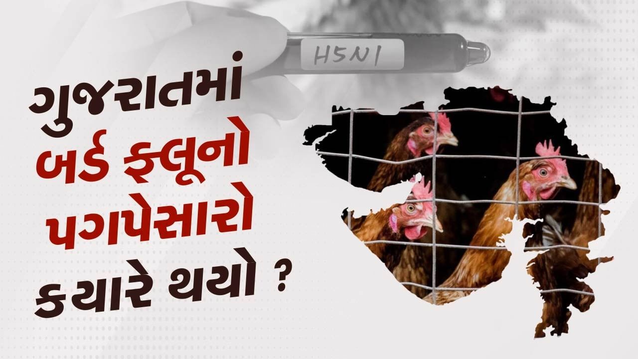 H5N1 વાયરસ કેટલો ખતરનાક ? જાણો ગુજરાતમાં આ વાયરસે ક્યારે દસ્તક દીધી