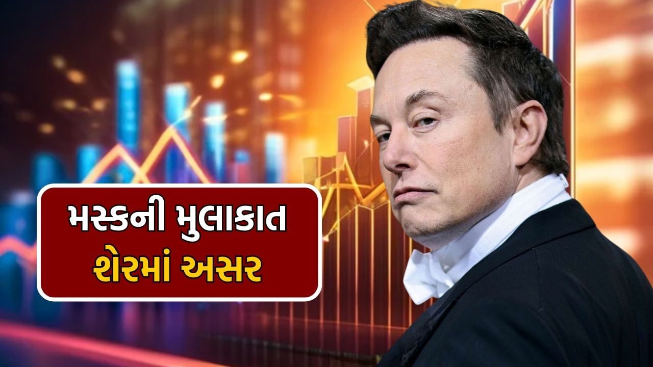 elon musk india visit this shares price high (3)