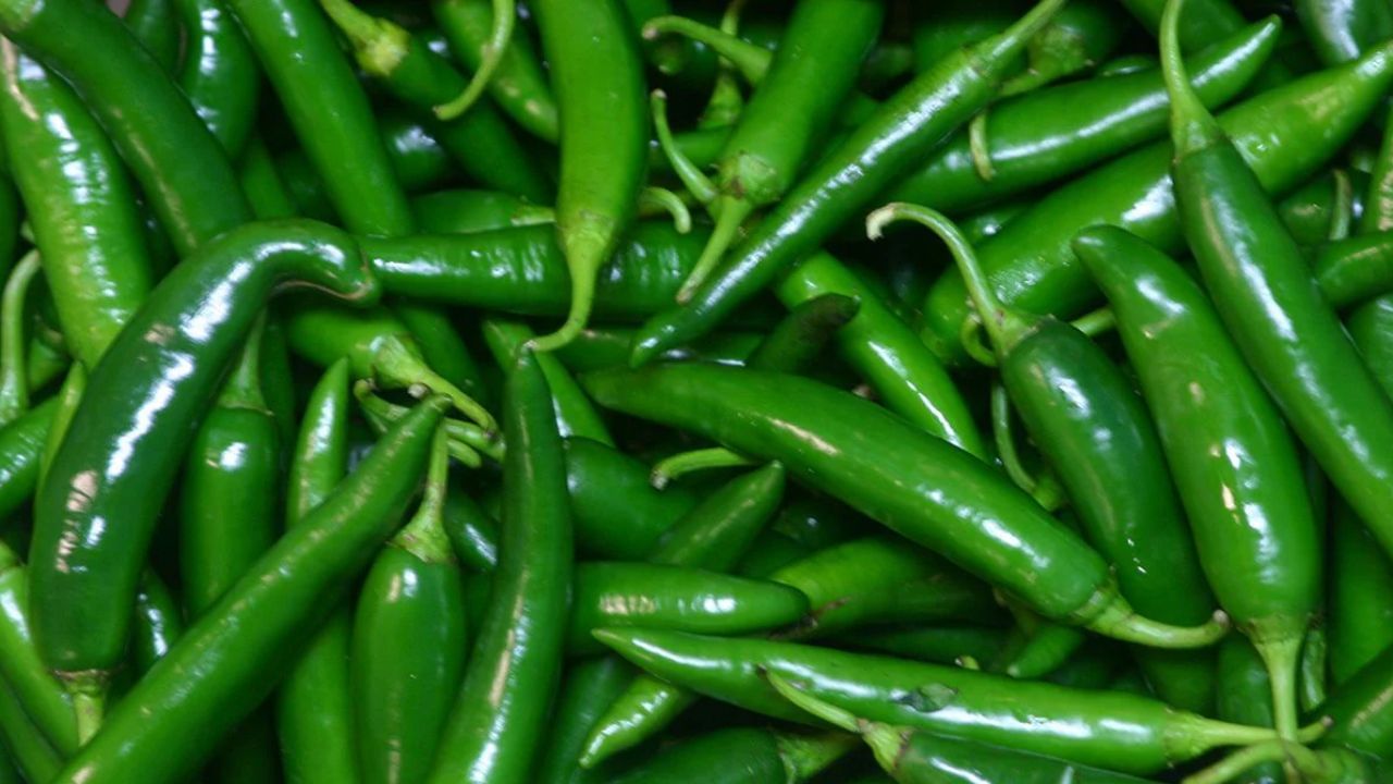green chillie benifits
