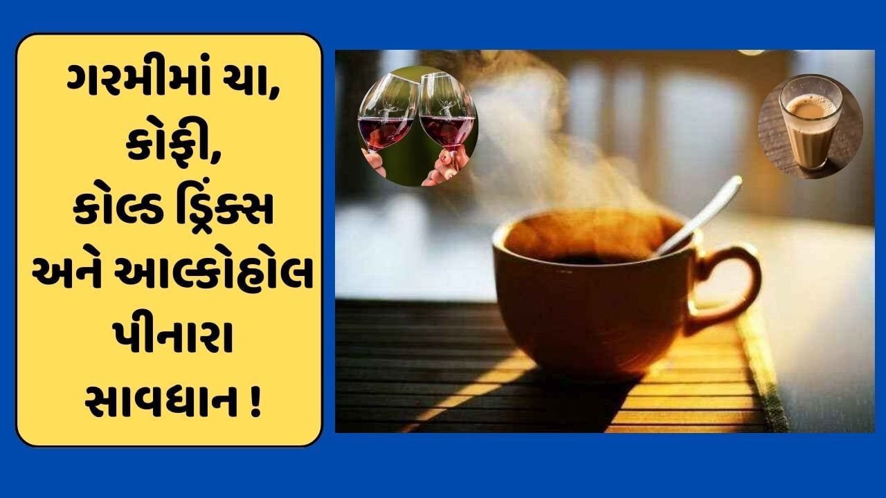 ગરમીમાં ચા, કોફી, કોલ્ડ ડ્રિંક્સ અને આલ્કોહોલ પીવું છે હાનિકારક ! સરકારે જાહેર કરી એડવાઈઝરી, જુઓ video