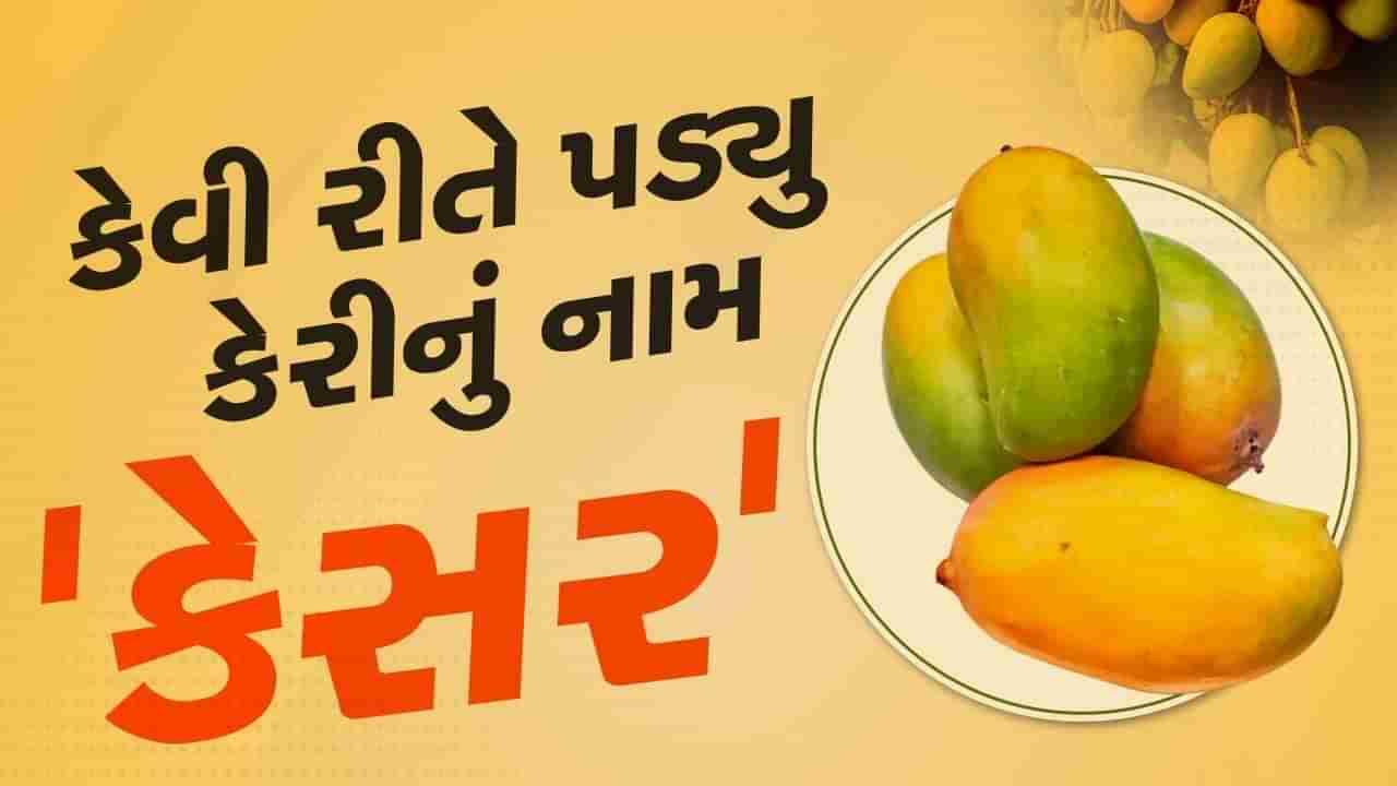 દેશ-વિદેશમાં આકર્ષણ ધરાવતી કેસર કેરીનો છે ગજબ ઇતિહાસ, કેવી રીતે પડ્યું નામ? જાણો