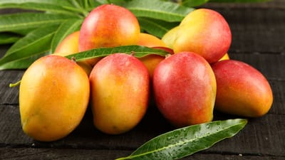 ઉનાળામાં કેરી ખાવાનું લગભગ દરેકને પસંદ હોય છે. સ્વાદિષ્ટ હોવા ઉપરાંત કેરીમાં અનેક પ્રકારના પોષક તત્વો જોવા મળે છે. કેરીમાં કુદરતી મીઠાશ હોવા છતાં ડાયાબિટીસના દર્દીઓ તેને ખાવી કે નહીં તે અંગે દુવિધામાં રહે છે. ત્યારે ચાલો જાણીએ કે કેરી ખાવાથી બ્લડ શુગર વધે છે કે નહીં અને ડાયાબિટીસના દર્દીઓએ તેને કેટલી માત્રામાં ખાવી જોઈએ.