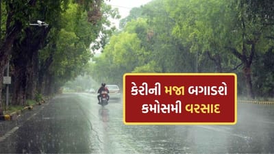 કેરીના રસિયાઓ માટે માઠા સમાચાર, આગામી બે દિવસ રાજ્યમાં કમોસમી વરસાદ થવાની આગાહી, કેરીના પાકને નુકસાનની ભીતિ કેરીના રસિયાઓ માટે માઠા સમાચાર, આગામી બે દિવસ રાજ્યમાં કમોસમી વરસાદ થવાની આગાહી, કેરીના પાકને નુકસાનની ભીતિ