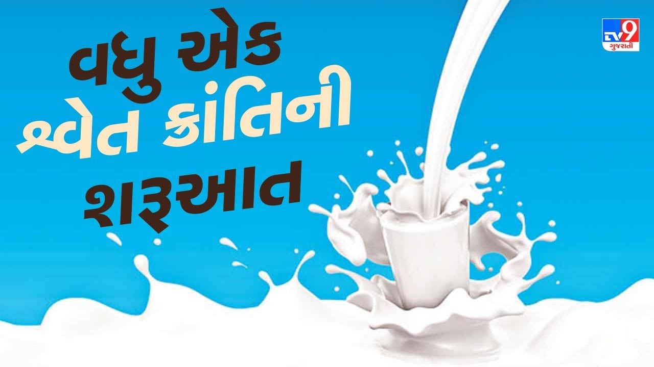 ગુજરાતમાં અમુલ બાદ વધુ એક શ્વેત ક્રાંતિની શરૂઆત... ઔષધીય ગુણોનો ખજાનો એવા આ દૂધની 10 દેશમાં નિકાસ કરાઈ રહી છે