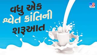 ગુજરાતમાં અમુલ બાદ વધુ એક શ્વેત ક્રાંતિની શરૂઆત… ઔષધીય ગુણોનો ખજાનો એવા આ દૂધની 10 દેશમાં નિકાસ કરાઈ રહી છે