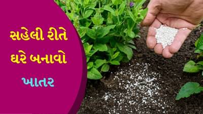 ફળો અને શાકભાજીની છાલમાંથી આ રીતે ખાતર બનાવો, છોડ ફળ-ફૂલથી ભરાઈ જશે !