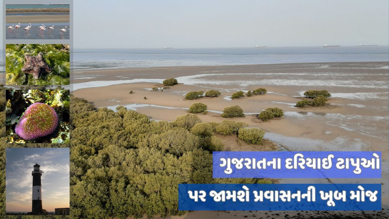 ગુજરાતના દરિયાઇ ટાપુઓ પર હવે ગોવા-લક્ષદ્વીપ જેવી મોજ માણવા મળશે, જાણો