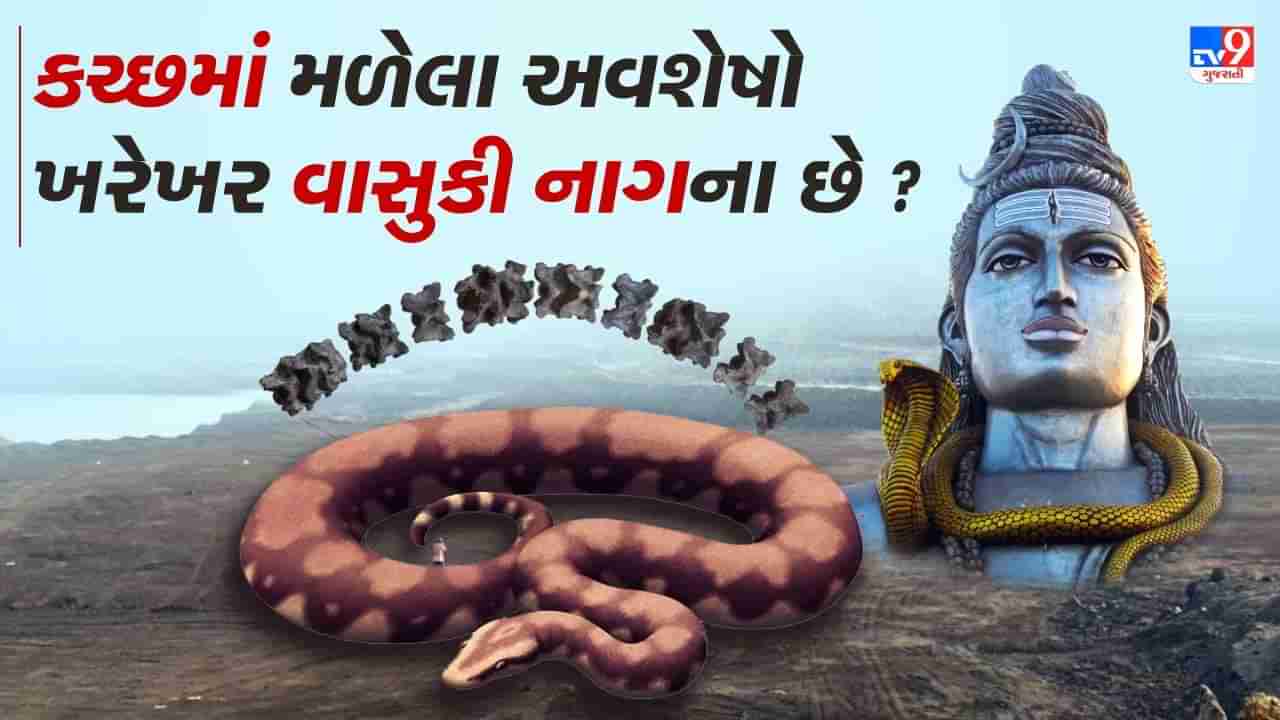 કચ્છમાં મળેલા અવશેષો ભગવાન શિવના વાસુકી નાગના હોવાનો દાવો કેટલો સાચો ? જાણો શું છે હકીકત