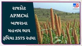 રાજકોટ APMCમાં બાજરાના મહત્તમ ભાવ રૂપિયા 2575 રહ્યા, જાણો રાજકોટ APMCમાં બાજરાના મહત્તમ ભાવ રૂપિયા 2575 રહ્યા, જાણો