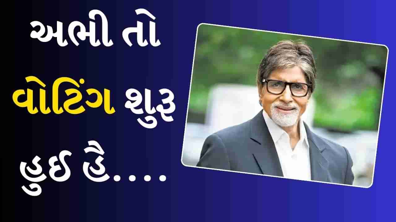 અભી તો વોટિંગ શુરૂ હુઈ હૈ... Amitabh Bachchan એ પંખીનો વીડિયો કર્યો ટ્વીટ, અનોખા અંદાજમાં વોટ માટે કરી અપીલ