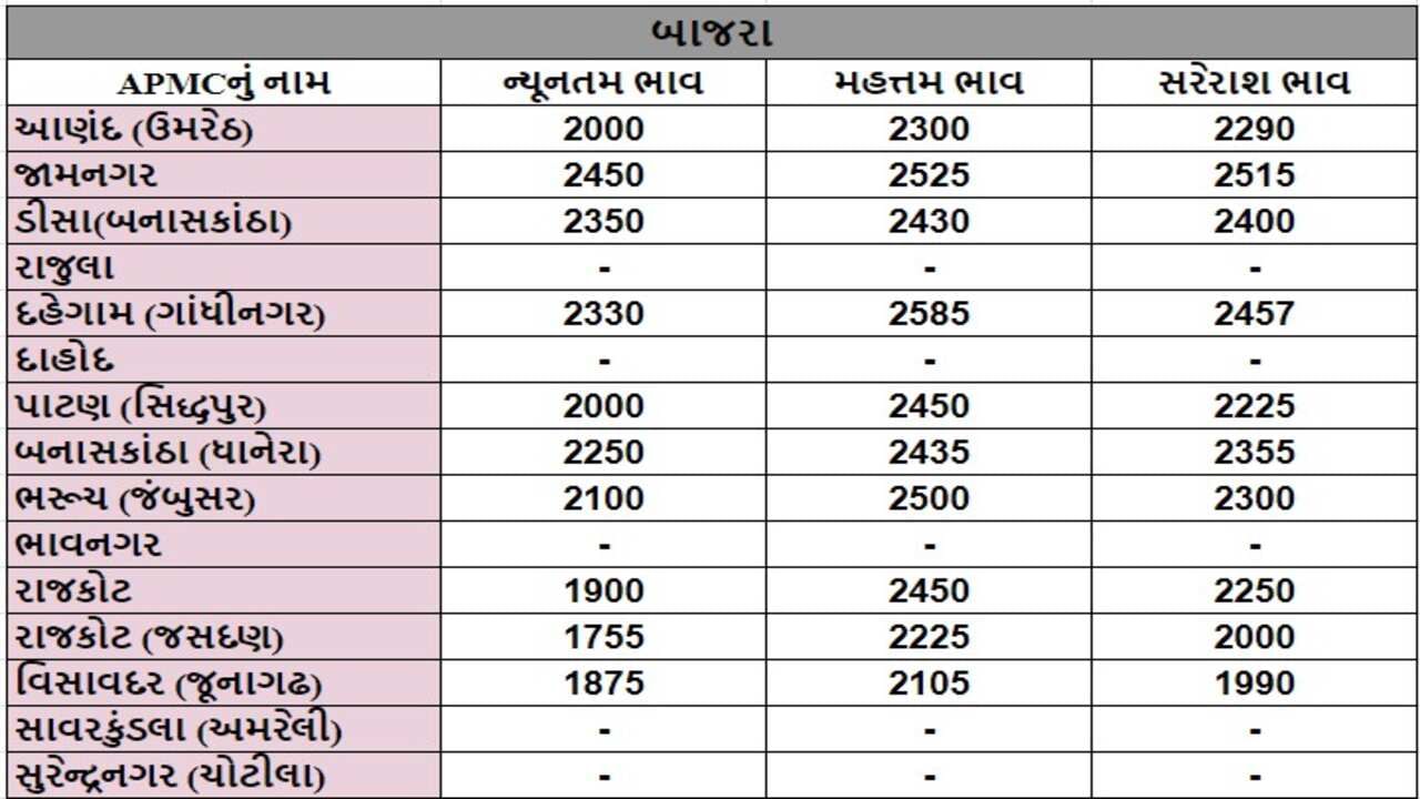 બાજરાના તા.21-05-2024ના રોજ APMCના ભાવ રૂ.1755 થી 2585 રહ્યા.