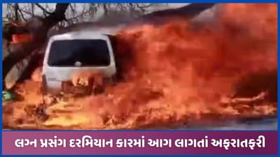 અરવલ્લીઃ મેઘરજના ઢેમડા પાસે કારમાં આગ લાગતા અફરાતફરી, જુઓ