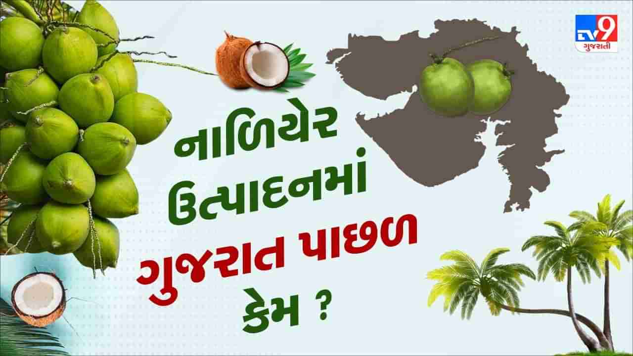 દેશમાં સૌથી લાંબો દરિયાકિનારો ધરાવતું ગુજરાત નાળિયેર ઉત્પાદનમાં પાછળ કેમ ?