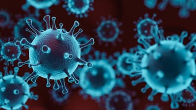 ભારતમાં ફરી દેખાયો કોરોના ! ગુજરાત સહીત આ રાજ્યોમાં નોંધાયા કુલ 300 કેસ