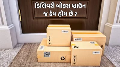 ડિલિવરી બોક્સ કે બેગ બ્રાઉન રંગના જ કેમ હોય છે ? જાણો તેની પાછળનું રહસ્ય