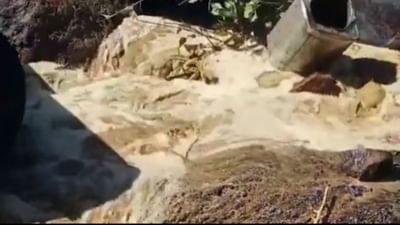 દેવભૂમિ દ્વારકા : ભાણવડના બરડા ડુંગરમાં ચાલતી  દેશી દારૂની ભઠ્ઠી ઝડપાઈ, 3200 લીટર  કાચો આથો ઝડપાયો,જુઓ Video