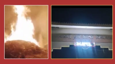Navsari : કૃષિ યુનિવર્સિટીમાં ભીષણ આગ લાગતા અફરાતફરીનો માહોલ, આગ લાગવાનું કારણ અકબંધ, જુઓ Video