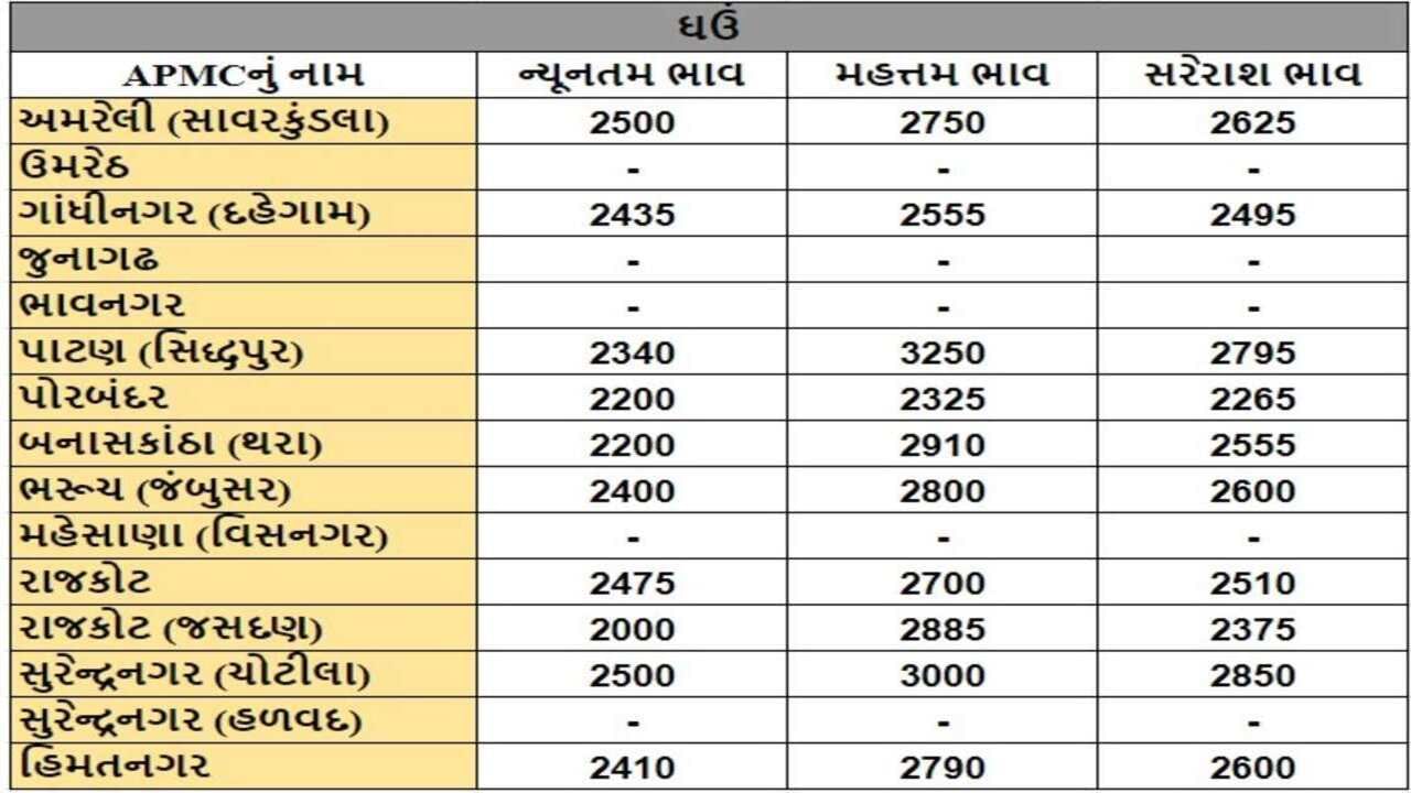 ઘઉંના તા.14-05-2024ના રોજ APMCના ભાવ રૂ.2000 થી 3250 રહ્યા.