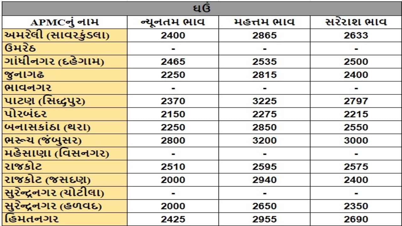 ઘઉંના તા.27-05-2024ના રોજ APMCના ભાવ રૂ.2000 થી 3225 રહ્યા.