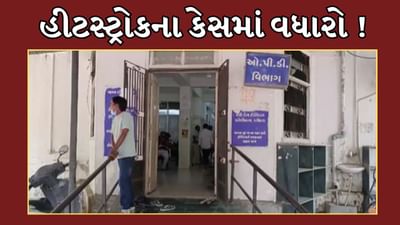Vadodara Video : કાળઝાળ ગરમીના લીધે હીટ સ્ટ્રોકના 400થી વધુ કેસ, વધારે પડતુ શેરડીના રસનું સેવન ટાળો