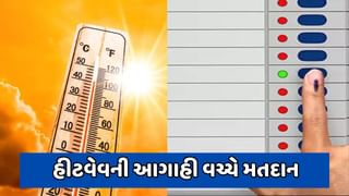 કાળઝાળ ગરમીની આગાહી વચ્ચે ગુજરાતની 25 લોકસભા બેઠકો પર મતદાન