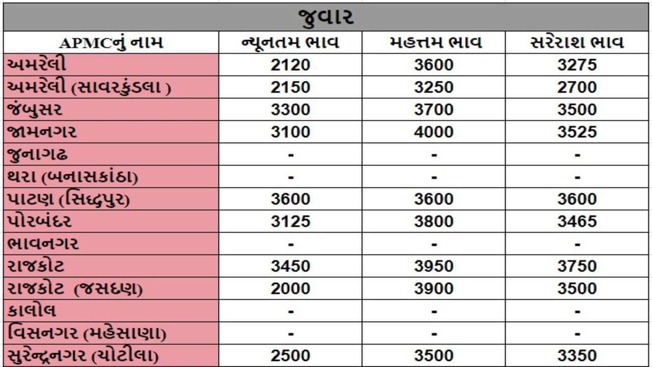 જુવારના તા.13-05-2024ના રોજ APMCના ભાવ રૂ.2000 થી 4000 રહ્યા.