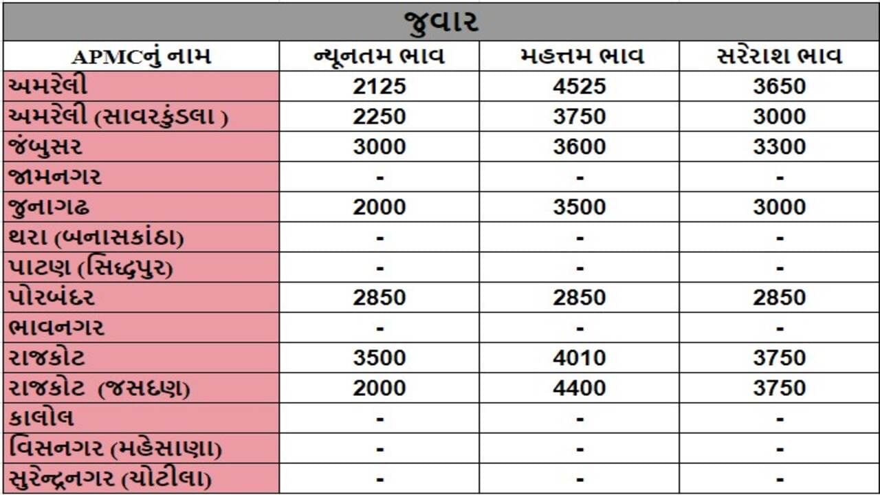 अमरेली APMC में ज्वार की अधिकतम कीमत 4525 रुपये, जानिए विभिन्न फसलों के दाम