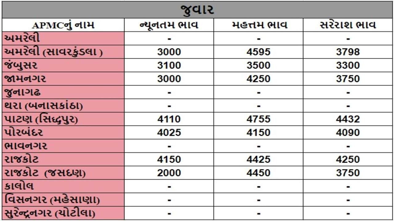 જુવારના તા.27-05-2024ના રોજ APMCના ભાવ રૂ.2000 થી 4755 રહ્યા.