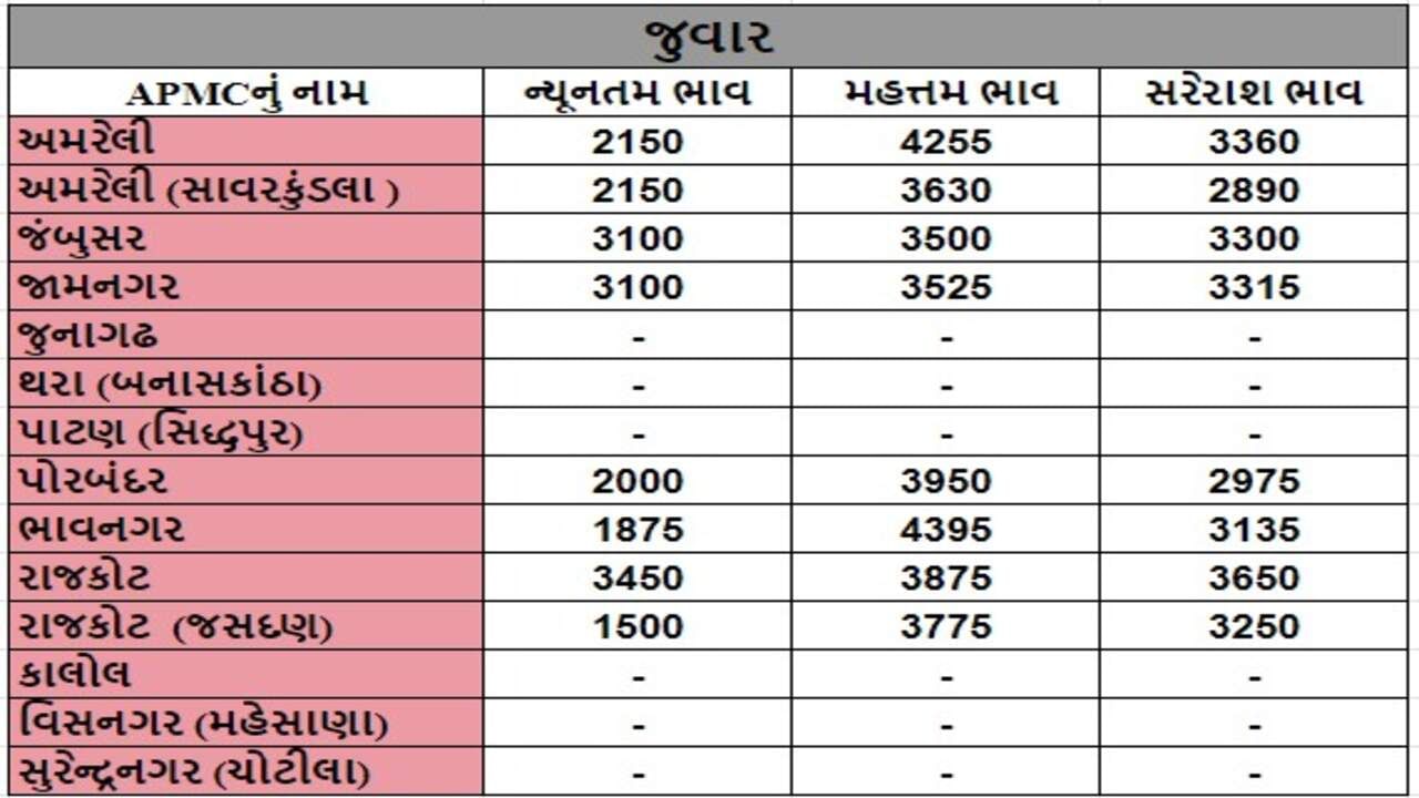 જુવારના તા.09-05-2024ના રોજ APMCના ભાવ રૂ.1500 થી 4395 રહ્યા.