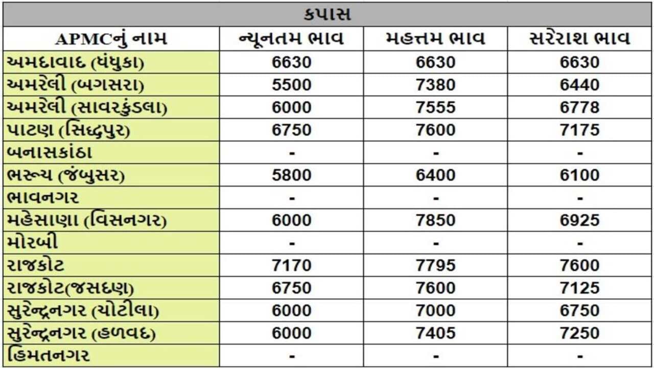 કપાસના તા.14-05-2024ના રોજ APMCના ભાવ રૂ.5500 થી 7850 રહ્યા.