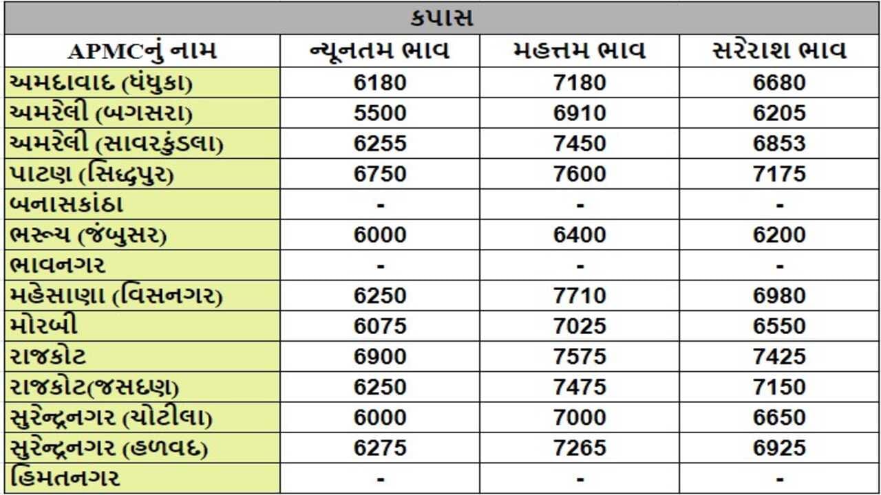 કપાસના તા.16-05-2024ના રોજ APMCના ભાવ રૂ.5500 થી 7710 રહ્યા.